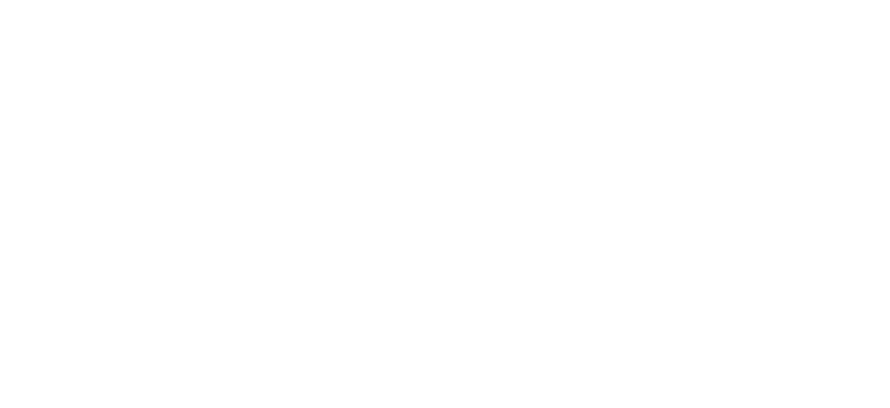 Logo-Nordwind-Header-white